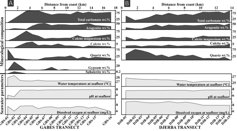 Fig 2. Variation in mineralogical composition and seawater parameters. (A) Gabes Transect