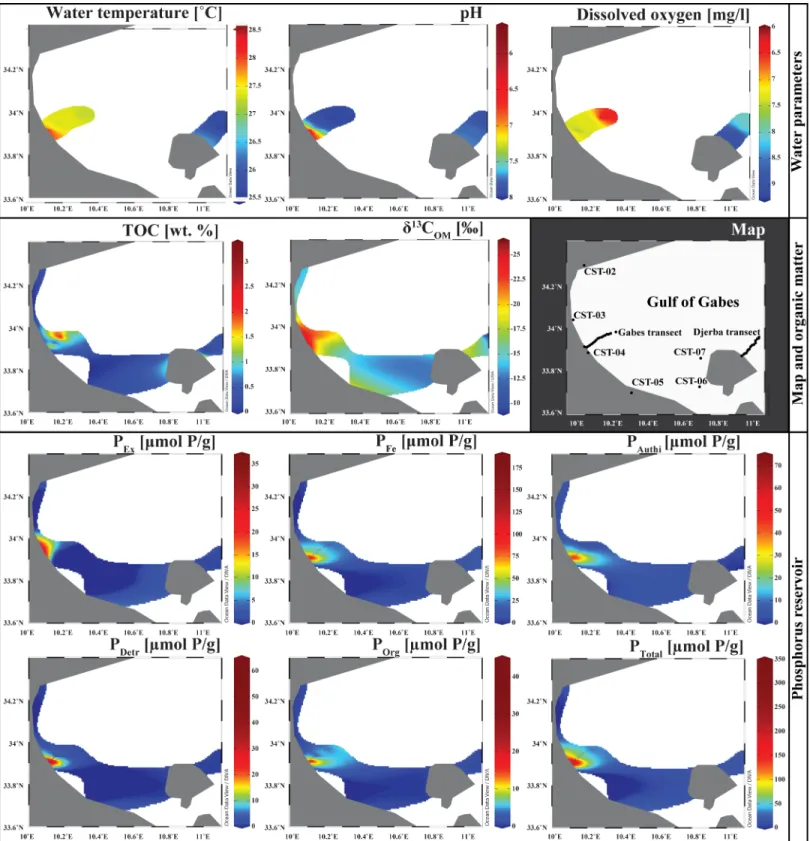 Fig 3. Isosurface in the Gulf of Gabes. Water parameters, TOC, carbon isotope composition of sedimentary organic matter, phosphorus reservoir concentrations are plot on a 2D Maps of the Gulf of Gabes