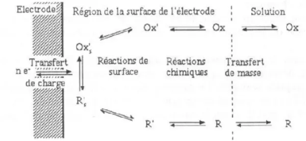 FIGURE 2.2- Exemple de quelques processus réactionnels intermédiaires dans une réaction.