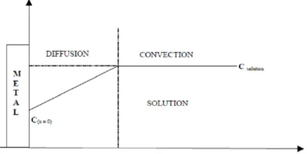 FIGURE 2.3-Profil de concentration stationnaire dans le modèle de la couche de Nernst.