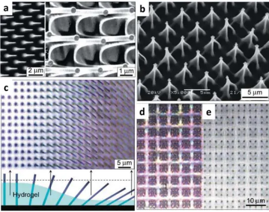 Figure 3.  Microscopy study of a hydrogel-actuated integrated responsive systems (HAIRS)