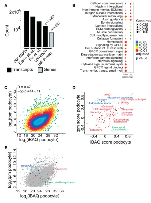 Figure 2. Integration of Deep Transcrip- Transcrip-tomic and Proteomics Data