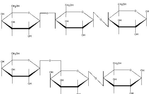 Figure 1 : Exemples  de structure de galacto-oligosaccharides : en  haut le 4-galactosyl  lactose  et  en  bas  le  6-galactosyl  lactose  sont  représentés,  montrant  les  différentes  liaisons galactosyl usuelles