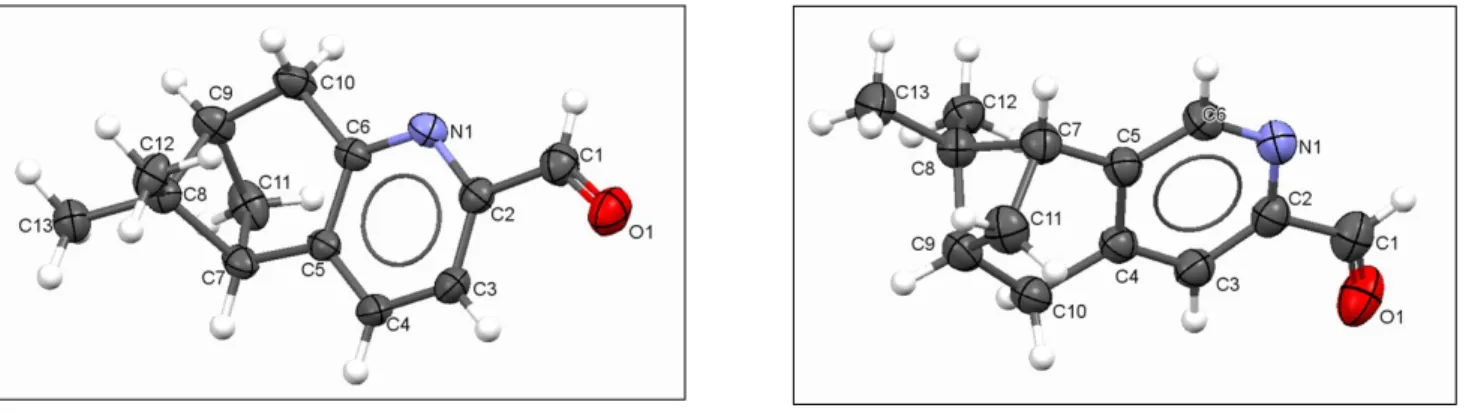 Figure S2.1 Molecular structure of chiral aldehydes, P1 (left) and P2 (right) with appropriate labelling scheme