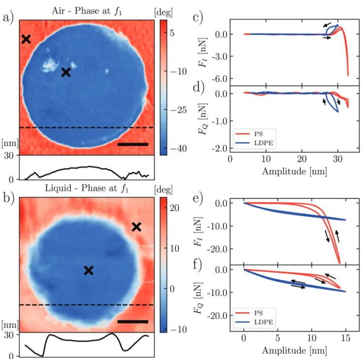 Fig. 2 LDPE domain in the PS matrix: the images in air (a) and in liquid (b) display the response phase at the first drive frequency of ImAFM