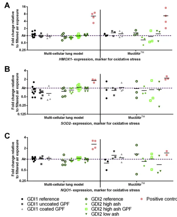 Fig. 4. Oxidative-stress-related gene expression in two different cell culture models and seven different gasoline direct injection (GDI) exhausts