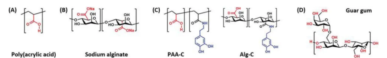 Fig. 4 Chemical structures of polymer binders: (A) poly(acrylic acid) (PAA), (B) sodium alginate (Alg), (C) catechol-functionalized PAA (PAA-C) and alginate (Alg-C), and (D) guar gum (GG).