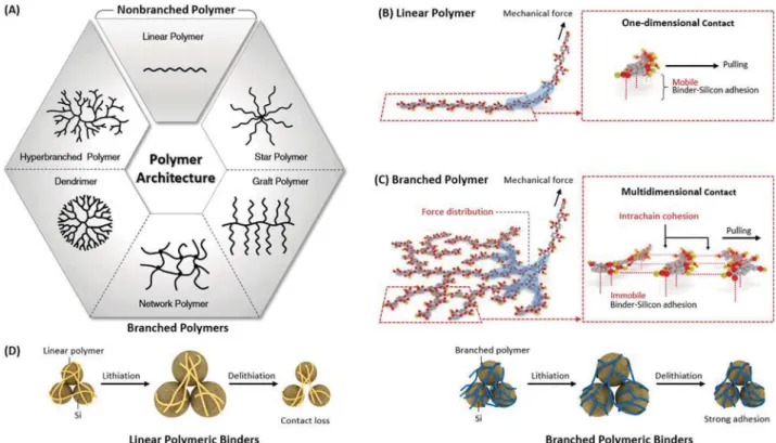 Fig. 7 Hyperbranched polymeric binders: b-cyclodextrin polymer (b-CDp), amylopectin, and glycogen.