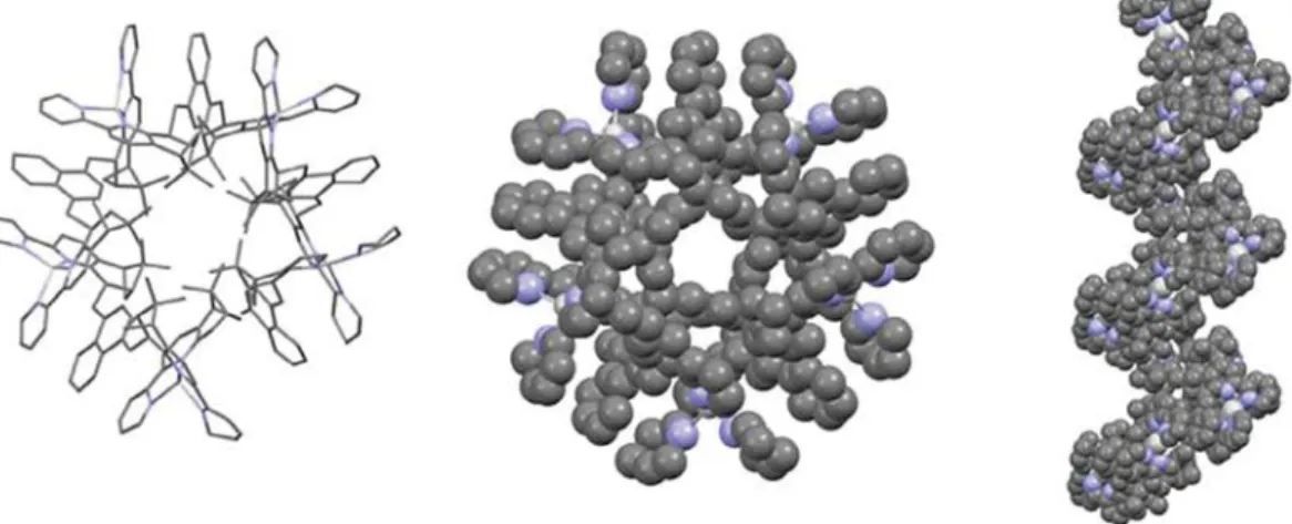 Fig. 6. Possible mechanism for the reversible transformation circular – polymeric monostranded helicate.