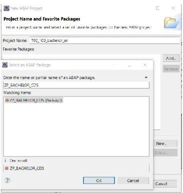 Figure 24 : Nouveau projet ABAP - Project Name and Packages 24