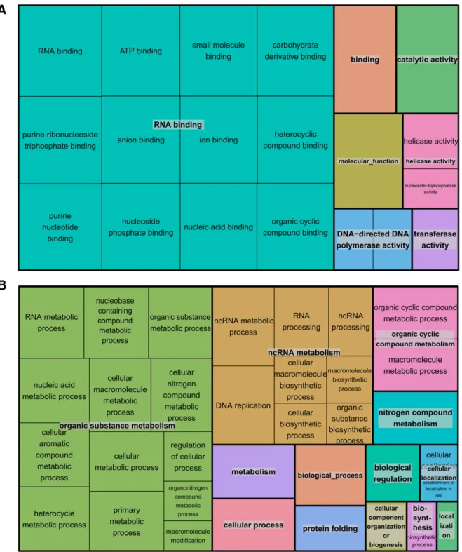 Figure 5 Enrichment analysis of GO terms among the core-set of genes compared to the entire list of D