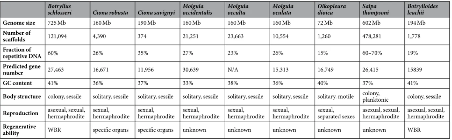 Table 1.  Comparison of the sequenced tunicate genomes and their most prominent biological features.