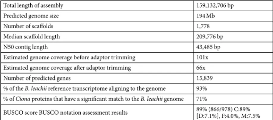 Table 2.  B. leachii genome assembly statistics.