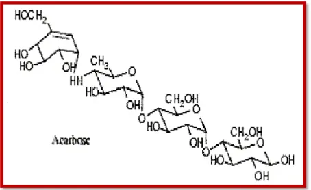 Figure II.3. Structure chimique d’un inhibiteur de l’alpha-glucosidase (l’acarbose)  Parmi les antidiabétiques les plus utilisés, nous avons choisi la famille des sulfamides  hypoglycémiants
