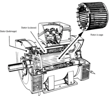 Figure 5: Machine asynchrone avec un rotor à cage d‘écureuil [5] 