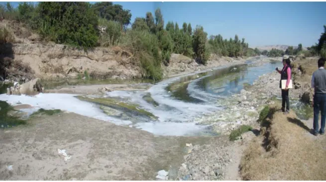 Figura 2.4. Río Ica, aguas abajo de la ciudad de Ica en temporada de estiaje lleva aguas residuales