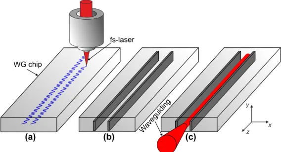 Figure 2.4: Schematic of the fs-laser writing mechanism. (a) fs-laser sinusoidal translation (along the x axis) superimposed to the linear translation (along the z axis), (b) pair of inscribed tracks (material modification in those areas), (c) resulting wa