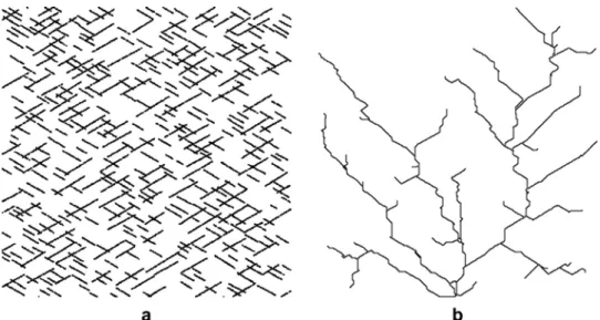 Fig. 3. A stochastic fracture  network (a)  is the basis for the karst  conduits model  (b) .
