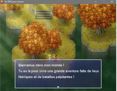 Figure 17 – Faire ses premiers pas dans le jeu 