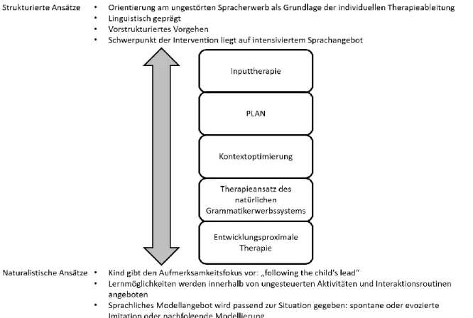 Abbildung 6: Kontinuum der Therapieansätze (in Anlehnung an Siegmüller &amp; Kauschke, 2006, S