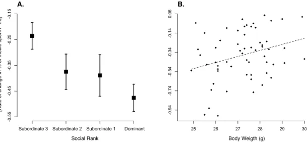 Figure 2. Sperm longevity expressed as the rate of decay in motile sperm (A) differs between males at  different  social  status  (mean  ±  SE),  (B)  while  heavier  males  have  longer  living  sperm  (F 1,49.4   =  7.30,   p = 0.009, slope = 0.074 ± 0.0