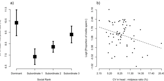 Figure 1. Relationship between the CV (mean + SE) in (a) sperm design according to social rank before  manipulating the social rank, and (b) its relation to the proportion of motile sperm in the ejaculate