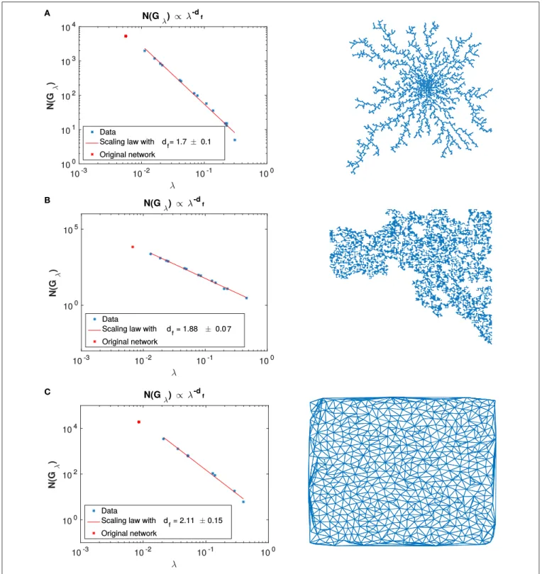 FIGURE 5 | Fractal dimension computed through renormalization for (A) DLA, (B) percolated cluster, and (C) space filling networks.