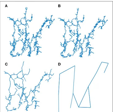FIGURE 6 | Renormalization scheme applied to Ox Bel Ha for l B = 2. (A) original network, (B–D) renormalized network after 2, 4, and 7 iterations.