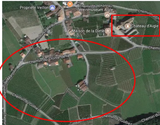 Figure 3 : Emplacement des vignes de Badoux Vins - © Google Maps 