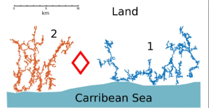 FIGURE 1 | Cave divers’ maps of (1) the Sac Actun system and (2) Ox Bel Ha. The diamond symbol represents the location of the town of Tulum and the coastline is sketched.