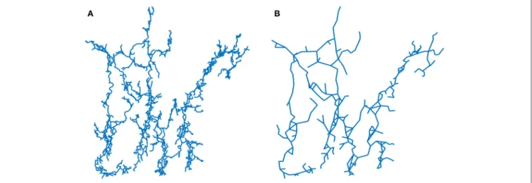 FIGURE 2 | Renormalization of Ox Bel Ha using the Maximum-Excluded-Mass-Burning algorithm [23]