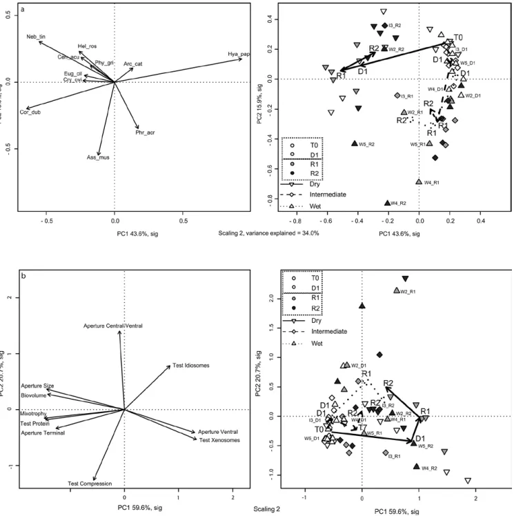 Fig. 2. Principal component analyses (PCA) of a) testate amoeba species and b) community weighted mean (CWM) of functional traits  in Sphagnum fallax from a mesocosm experiment simulating water table changes