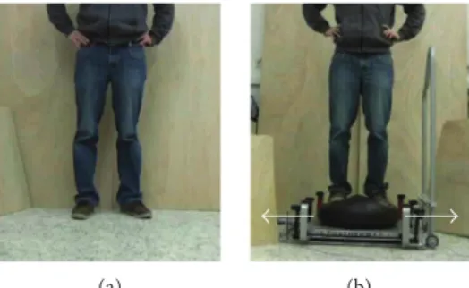 Figure 1: Balance tasks displayed during the experiment. (a) For the static balance task, a person was displayed standing on stable ground