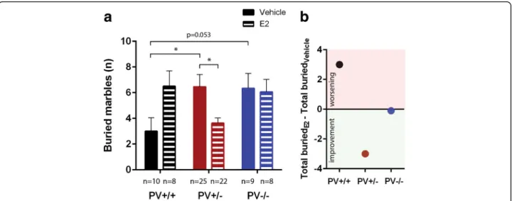 Fig. 5 Performance of PV+/+, PV+/ − , and PV − / − mice in the marble-burying test. a Total number of buried marbles in vehicle-treated and E2- E2-treated mice; asterisks represent * p < 0.05