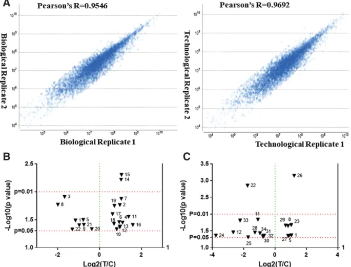 Figure 1. Correlation and volcano plots. A) Biological and technical replicate correlations by ion intensity exported from Progenesis QI for Pro- Pro-teomics program (Nonlinear), which show good reproducibility for label-free neuropeptides quantiﬁcation; B