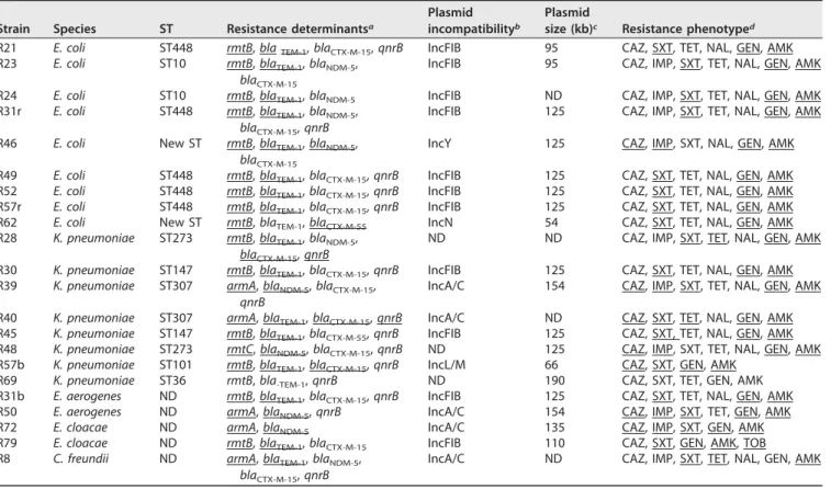 TABLE 1 Genetic features associated with the 16S RMTase-producing isolates
