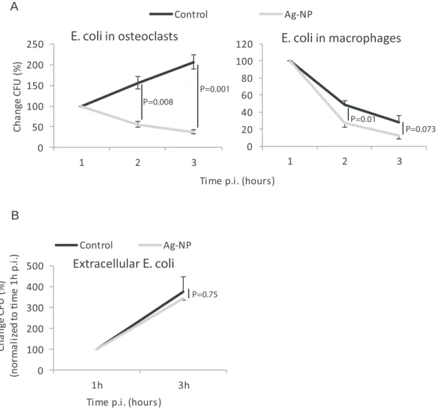 Figure 2. Viability of intracellular and extracellular E. coli after Ag-NP treatment. Cells were challenged with 10 MOI E