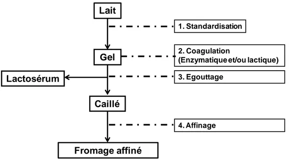 Figure 1. Bases de la fromagerie. 