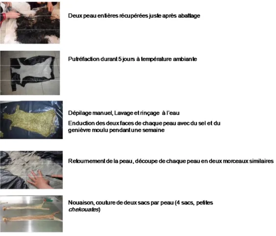 Figure 3. Schéma représentatif des différentes étapes de préparation de la peau de chèvre  (Senoussi, 2013)