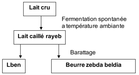 Figure 4. Schéma de fabrication du Lben (Benkerroum et Tamime, 2004). 