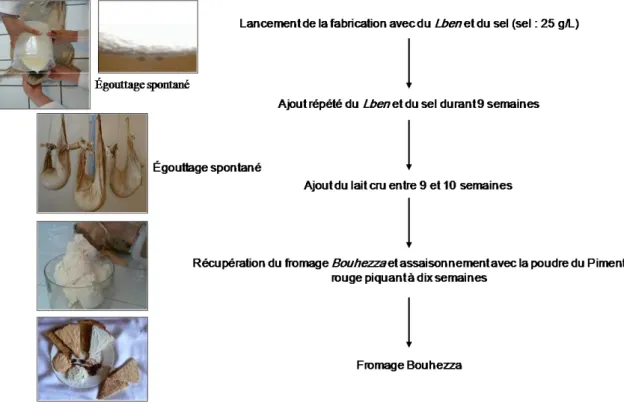 Figure 5. Diagramme simplifié de la fabrication contrôlée du fromage Bouhezza (Aissaoui  Zitoun, 2014).