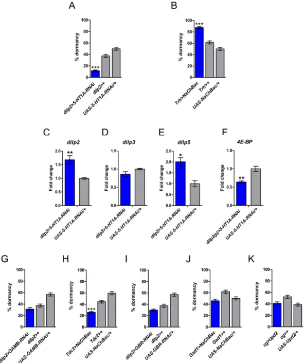 Figure 1.  Serotonergic signaling promotes dormancy regulating IIS, whereas octopamine inhibits dormancy