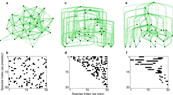 Fig 2. Illustration of some predator-prey networks and adjacency matrices. (a-b) Unstructured model for predation
