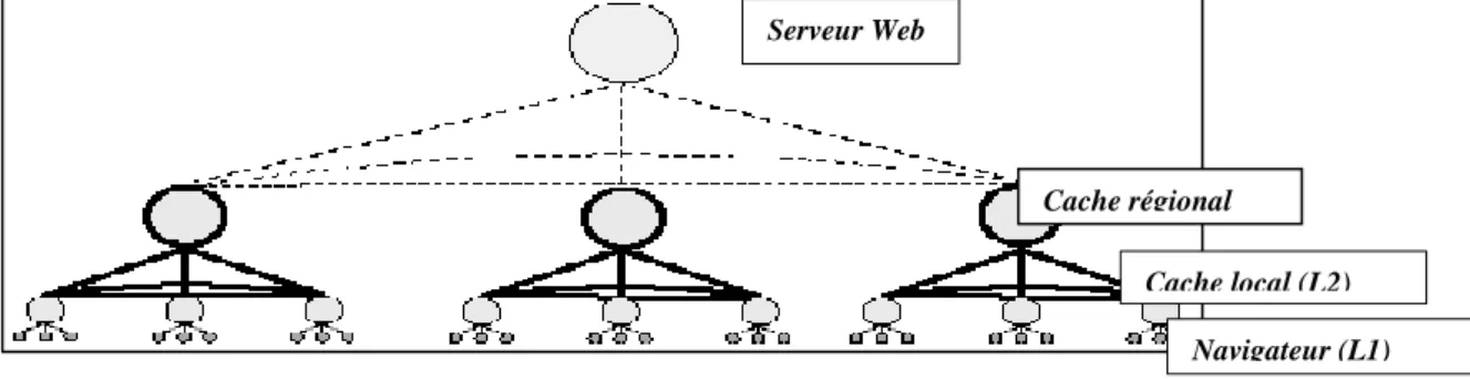 Figure 2.3.Structure hiérarchique de proxy caches coopératives. 