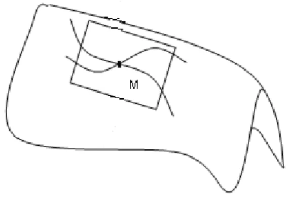 Figure 8 : Courbes sur S, les passant par M L’équation du plan tangent (P ) au point M 2 S est