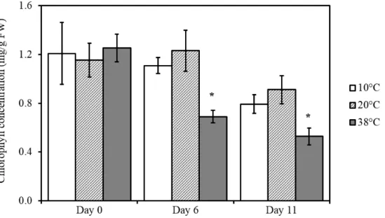 Fig. 3.2: Changes in chlorophyll content in tomato leaves exposed to different temperatures.