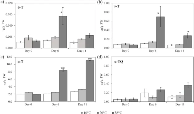Fig. 3.5: δ-T (δ-tocopherol), γ- T (γ-tocopherol), α-T (a-tocopherol) and α-TQ (a-tocopherol quinone) quantification in tomato leaves after exposure to three different  temper-atures