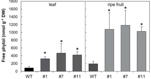 Fig. 4.3: Free phytol content in leaves and ripe fruits of the SlVTE5-RNAi transgenic lines.