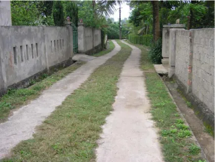 FIG. 1: Completed green road in Dong Hoi
