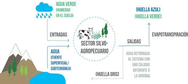 Figura 5: Huella Hídrica del sector agrícola. 